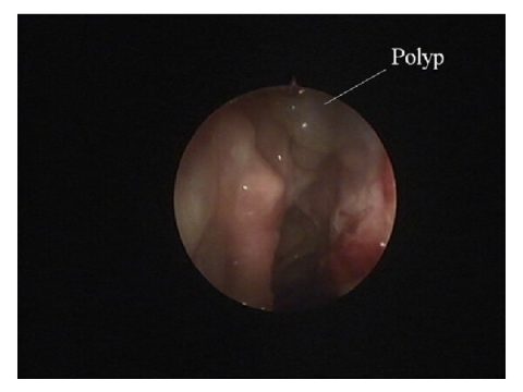 Blog Δρ.Μαχάς Θεοφάνης