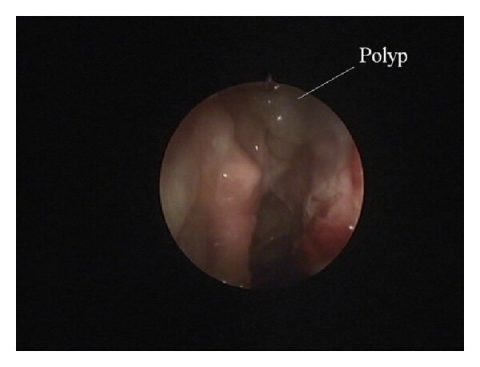 Blog Δρ.Μαχάς Θεοφάνης