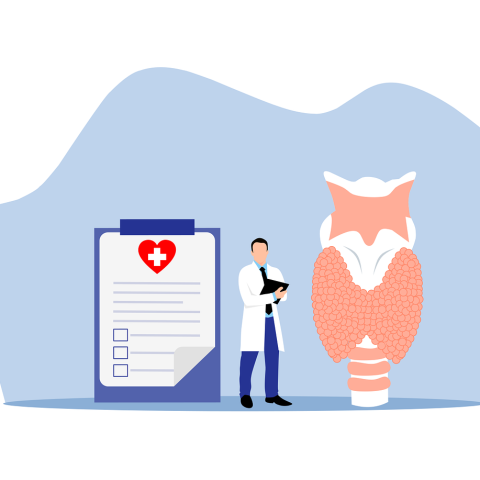 Παθήσεις των Παραθυρεοειδών Αδένων Δρ. Μαχάς Θεοφάνης